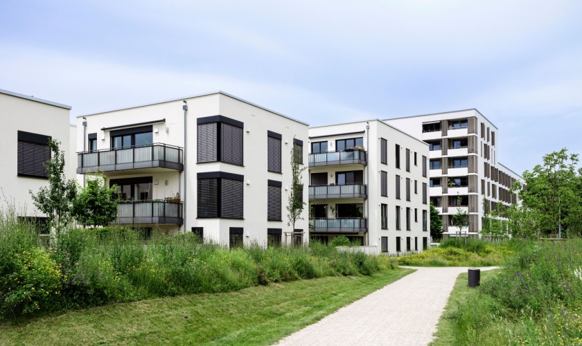 Commercial Pest Control Experts for Multi-Family Properties in Killeen, TX