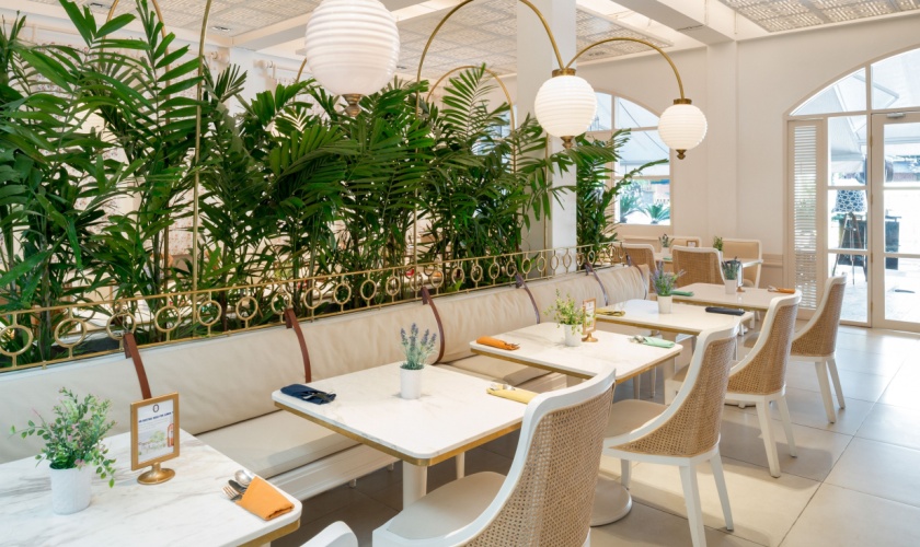 Restaurant Pest Control Experts in Killeen, TX