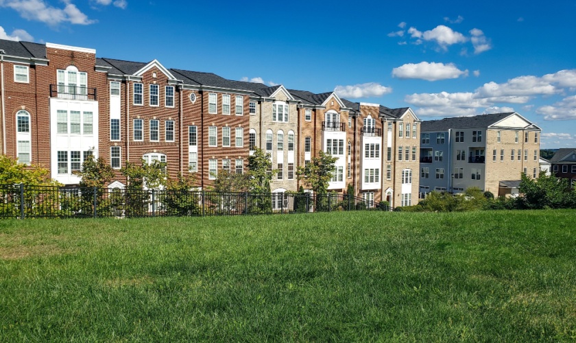 Common Pest Complaints From Tenants – and How Property Managers Can Prevent Them
