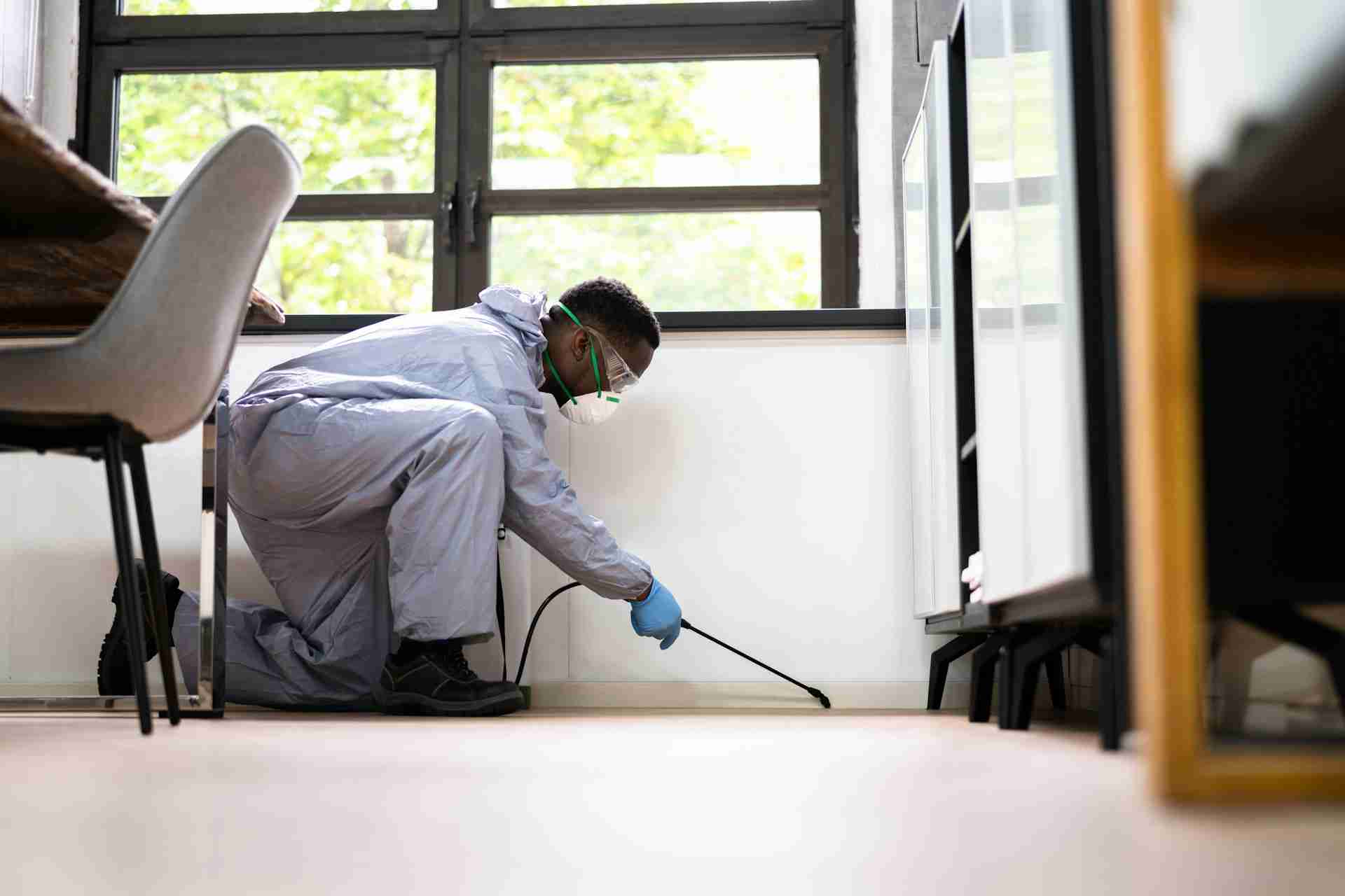 Affordable Pest Control in Killeen Without Sacrificing Safety