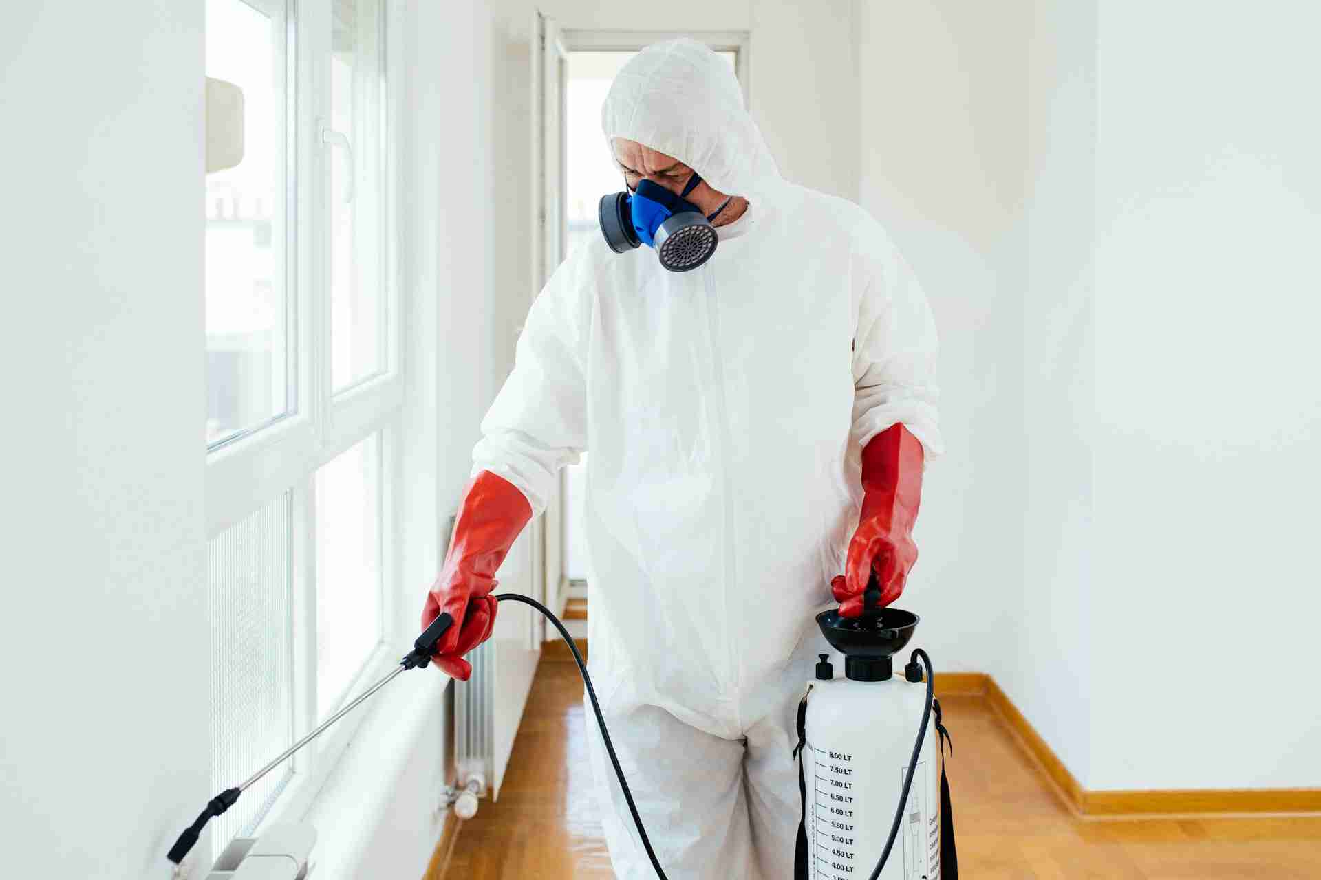Understanding Pest Control in Lampasas TX Before Summer Hits