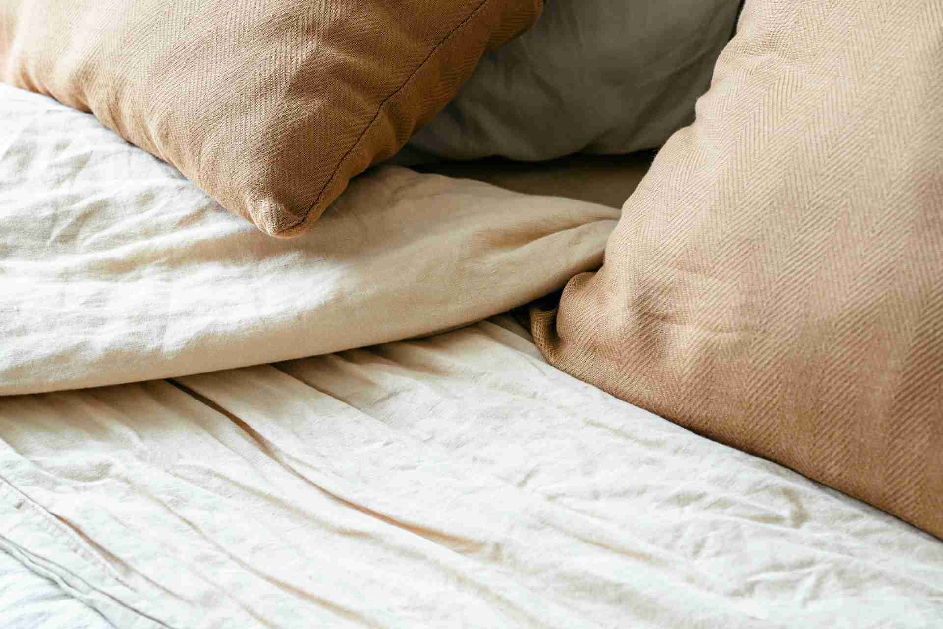 Recognizing Bed Bug Activity in Copperas Cove Rental Homes