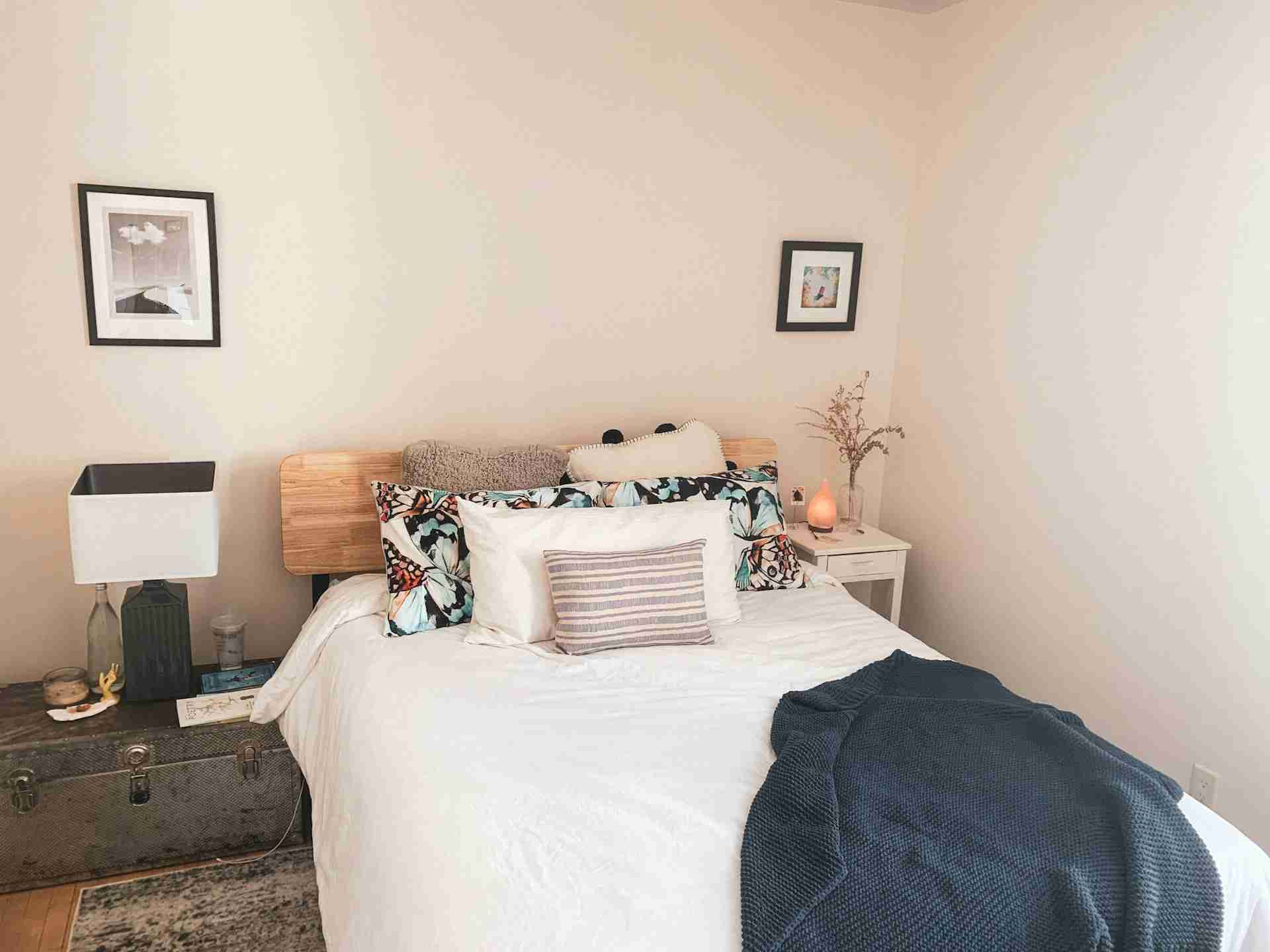 Copperas Cove Bed Bug Treatment for Guest Rooms and Airbnbs