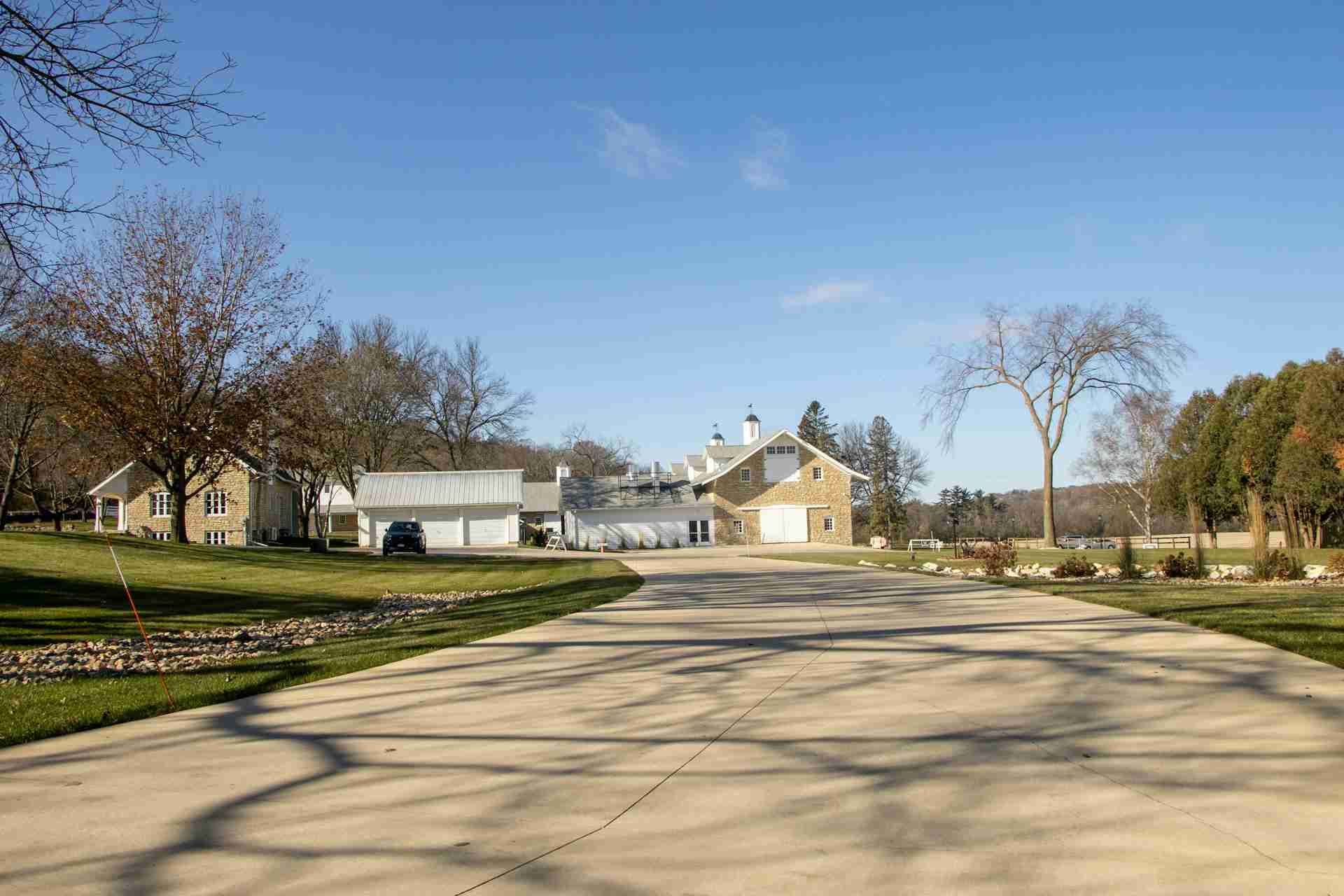 Choosing Ant Control in Killeen, TX for Patio and Driveway Cracks